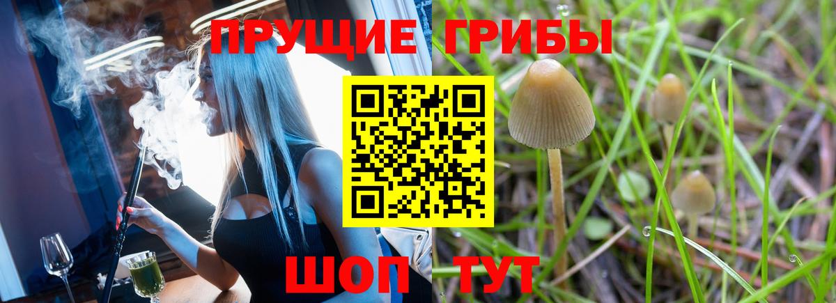 Оренбург  Галлюциногенные грибы Cubensis  Вход с VPN  Псилоцибиновые грибы прущие грибы 